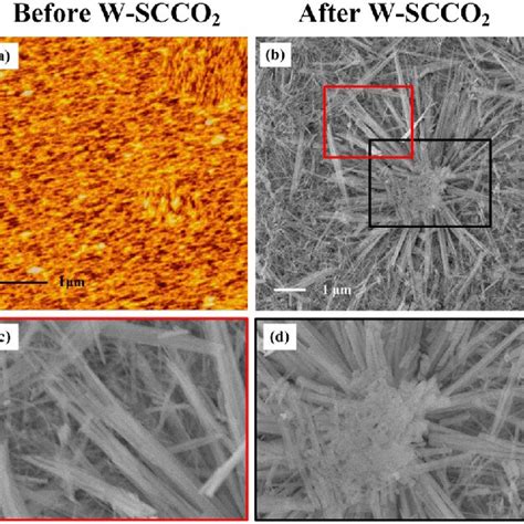 Surface Morphology Images Of The N Doped ZnO Sample A AFM Image Of