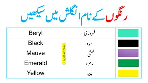 Flowers Color Meaning In Urdu Best Flower Site