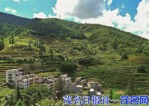 茂名：高州古丁镇大冲梯田如诗如画 创建国家森林城市 建设美丽滨海茂名 关注森林网