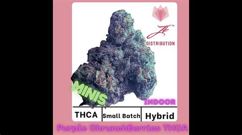 Jk Distro Purple Crunch Berry Thca Flower Youtube