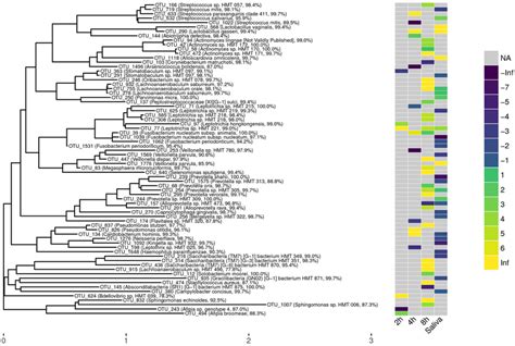 Phylogenetic Otu Tree Created By Lotus With Taxonomic Assignment From