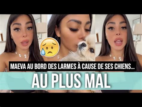 MAEVA TRÈS MAL À CAUSE DE SES CHIENS ELLE SE CONFIE AU BORD DES LARMES