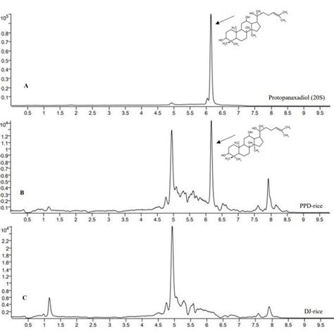 Liquid Chromatography Tandem Mass Spectrometry Chromatogram Of The Download Scientific Diagram