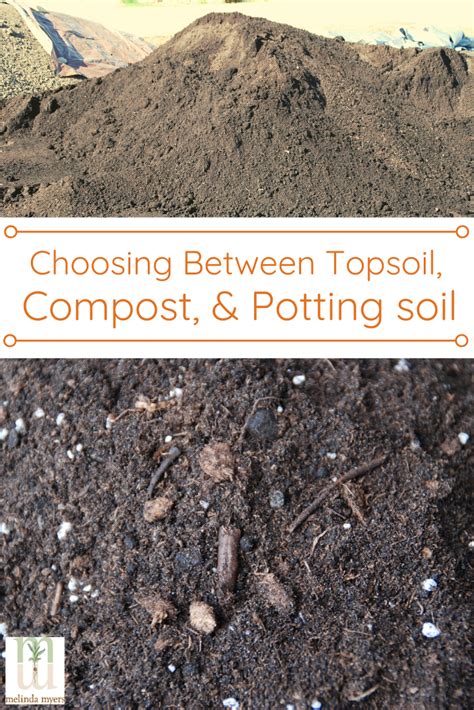 Understanding The Differences Between Topsoil Compost And Potting Mix