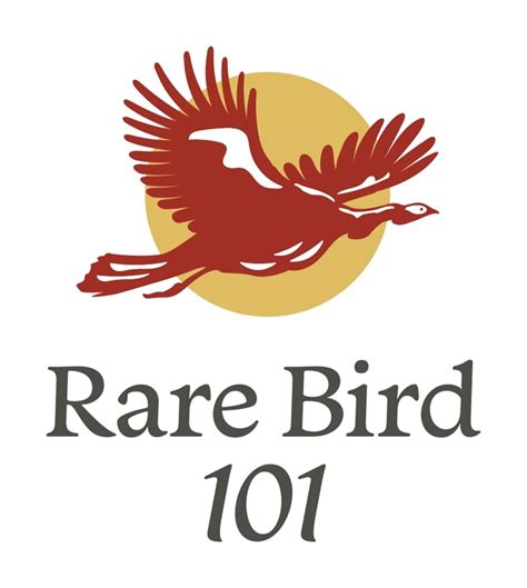 Rare Bird 101 Logo Sticker - Rare Bird 101's Ko-fi Shop - Ko-fi ️ Where ...