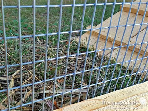 Choosing The Right Fencing For Your Chicken Coop Run Or Garden Fresh Eggs Daily® With Lisa Steele