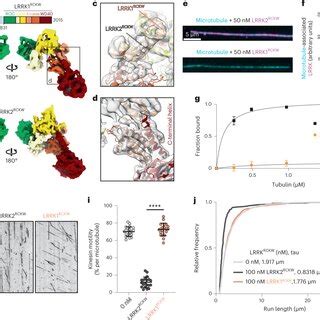 Cryo Em Structure Of Microtubule Associated Lrrk Rckw I T A Primary