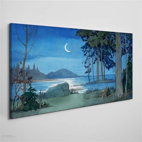 Coloray Obraz Canvas Malarstwo Las Morze Noc 120x60 Cm