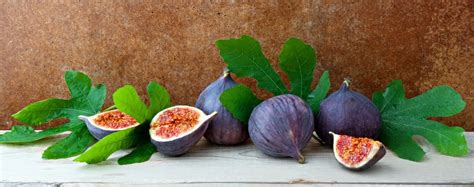 Tips for Growing and Caring for Fig Trees: A Beginner’s Guide - Tips ...