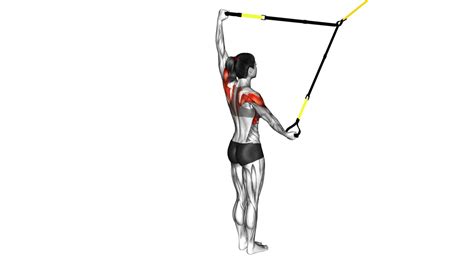 Female Suspender Split Fly Ultimate Exercise Guide Tips