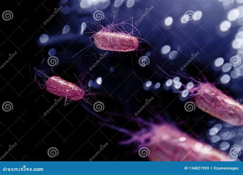 E Coli Bacteria Cells Stock Image Image Of Organism