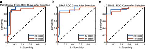 Roc Curves Of Estimation After Feature Selection Based On Main Dataset