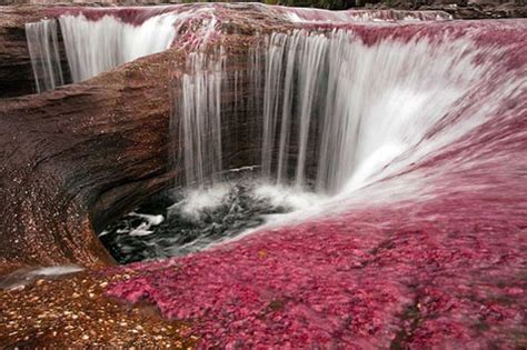 Caño Cristales & La Macarena, Colombia: Travel Guide