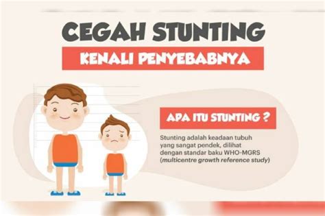 Upaya Pemkot Percepat Penanggulangan Stunting Di Palembang Sumbagsel