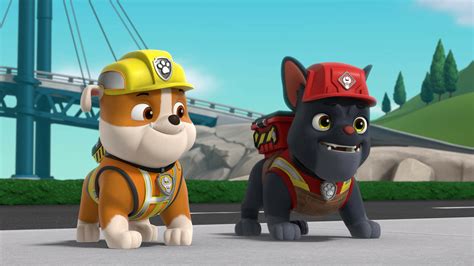 Mira PAW Patrol Patrulla De Cachorros Temporada 9 Episodio 26 PAW