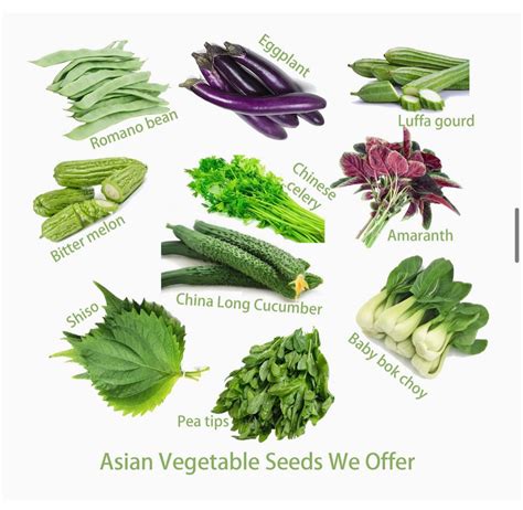 10 Types Asiab Seeds Heirloom Vegetable Bitter Melon China Long Shiso