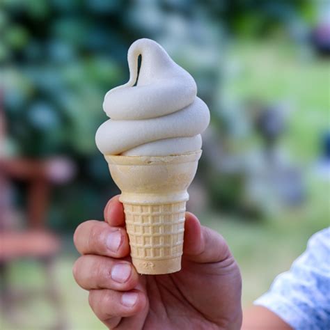 Vaqovan Vanilla Soft Serve Cone Reviews Abillion