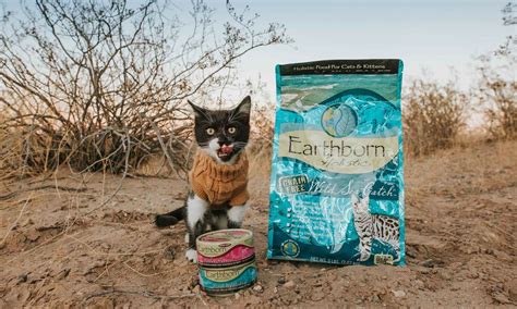 Holistic and Grain-Free Holistic Cat Food Recipes | Earthborn Holistic Pet Food