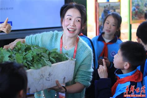 青雅丽发学校：“植”此春天 乐享耕趣 华声教育