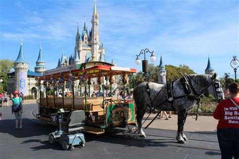 PHOTO REPORT Magic Kingdom 3 14 19 Sisters Soiree Dance Party