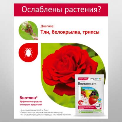 Bona Forte Аэрозоль Натуральное инсектицидное средство от летающих ...