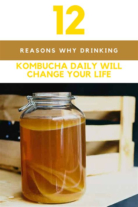 Kombucha Benefits: 12 Reasons Why Drinking It Daily Will Change Your Life