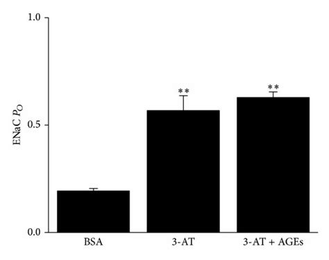 3 Aminotriazole 3 AT Mimics The Effect Of AGEs On ENaC PO A The