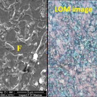 A Sem Micrograph Of Cp Steel M Martensite Phase F Ferrite B