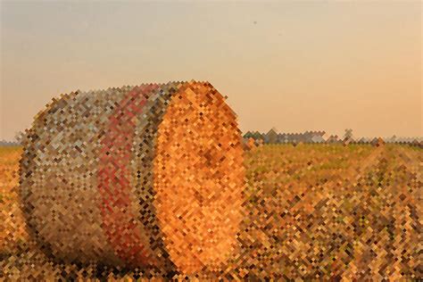 PIXEL ART on a hay cylindrical bale in a farmland Photograph by Susanna Mattioda - Fine Art America