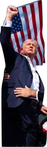 75 Tall Lifesize Donald Trump Shooting Cardboard Cutout 2024 Fight