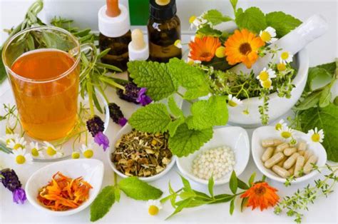 Immune Support Herbs That Strengthen The Immune System