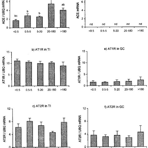 Expression Of MRNA Densitometrically Analysed RT PCR Ratio Of