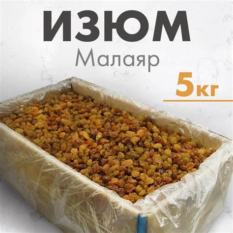 Изюм Малаяр без косточек, 5 кг купить на OZON по низкой цене (1794319950)