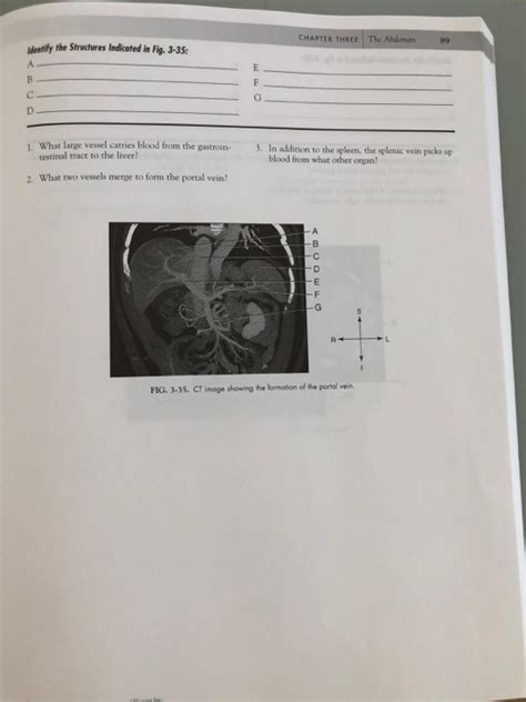 Chapter 3 Diagram Quizlet