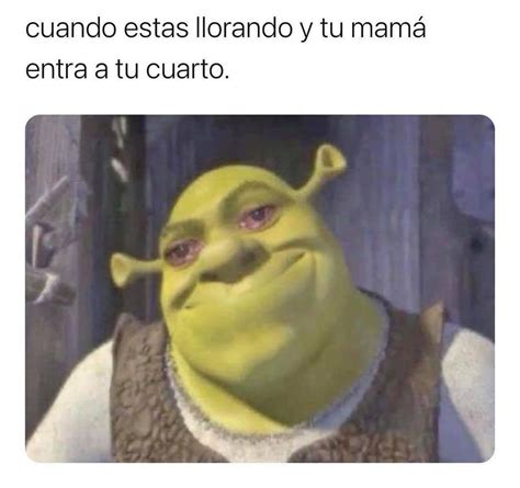 Cuando Est S Llorando Y Tu Mam Entra A Tu Cuarto Memes 11610 The Best