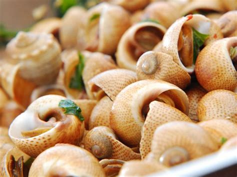 Lumache Di Mare Sauteed Sea Snails Recipes Cooking Channel Recipe