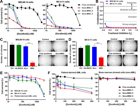 Human Aml Molm 14 Cells ATCC Bioz