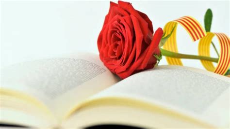 Por qué se regala una rosa en el día del libro la leyenda de Sant Jordi