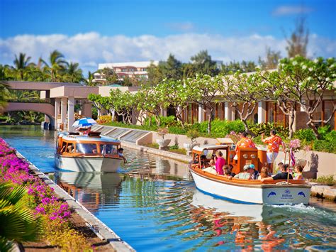 Hilton Waikoloa Village | Dolphin Quest