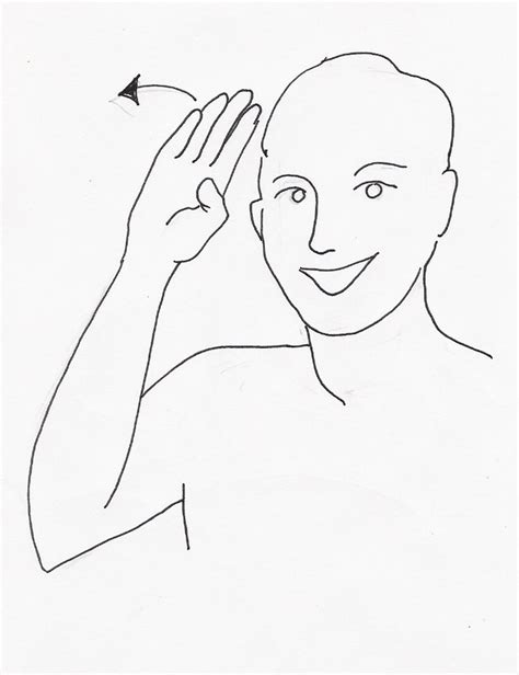 Sign Language Basic Flashcards Memorang