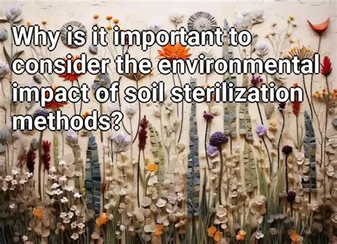 Why Is It Important To Consider The Environmental Impact Of Soil