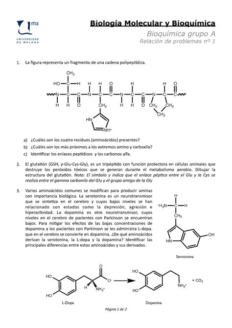 Bq I Relacion D Ejercicios Biolog A Molecular Y Bioqu Mica