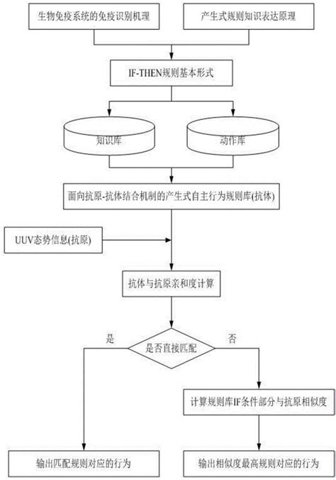 一种面向抗原抗体结合机制的产生式行为规则库构建方法与流程