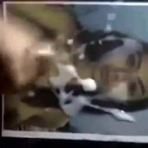 Cum Tribute To Hot Latin Girl Free Hot Gay Porn Video 6f XHamster