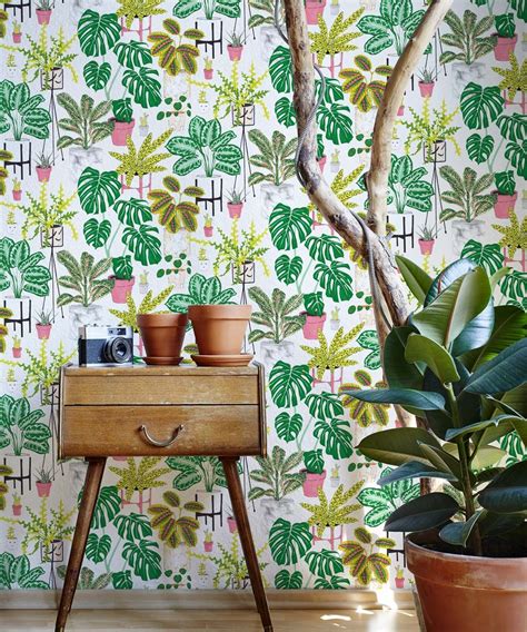 House Plants • Bright & Bold Botanical Wallpaper • Milton & King