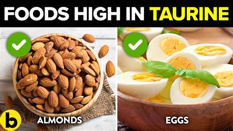 10 Foods With The Highest Amounts Of Taurine - YouTube