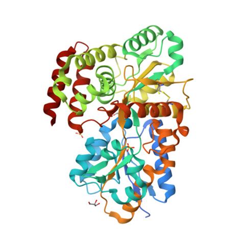 Rcsb Pdb 5dvi High Resolution Crystal Structure Of Glucose Complexed