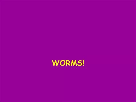 Ppt Worms Powerpoint Presentation Free Download Id9362313