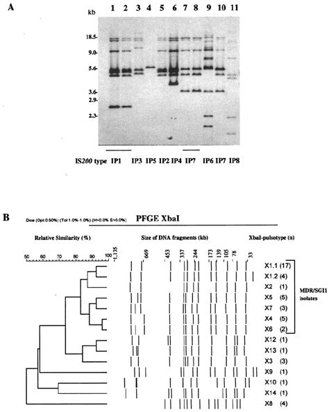 A Is Profiles Of Representative Multidrug Resistant S Enterica