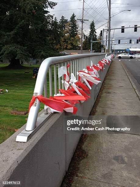 Marysville Pilchuck High School Shooting Photos and Premium High Res ...